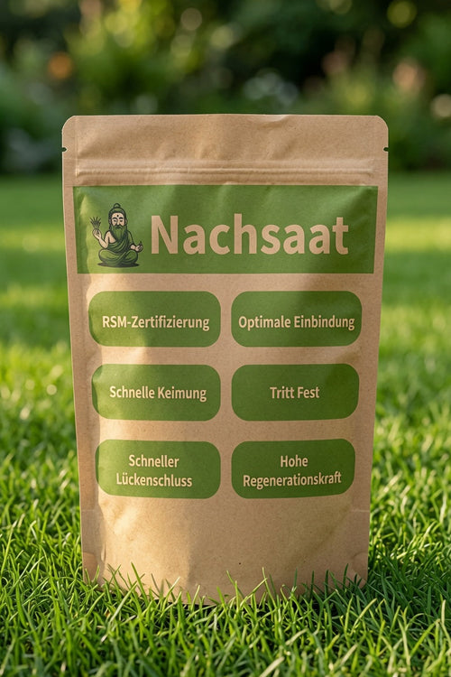 Nachsaat